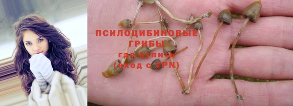 дживик Краснотурьинск