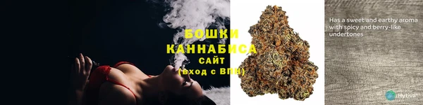 трава Карпинск